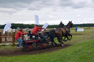 2015_laehdener_pferdetage_11_